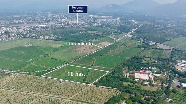HECTAREAS EN VENTA EN TECOMAN