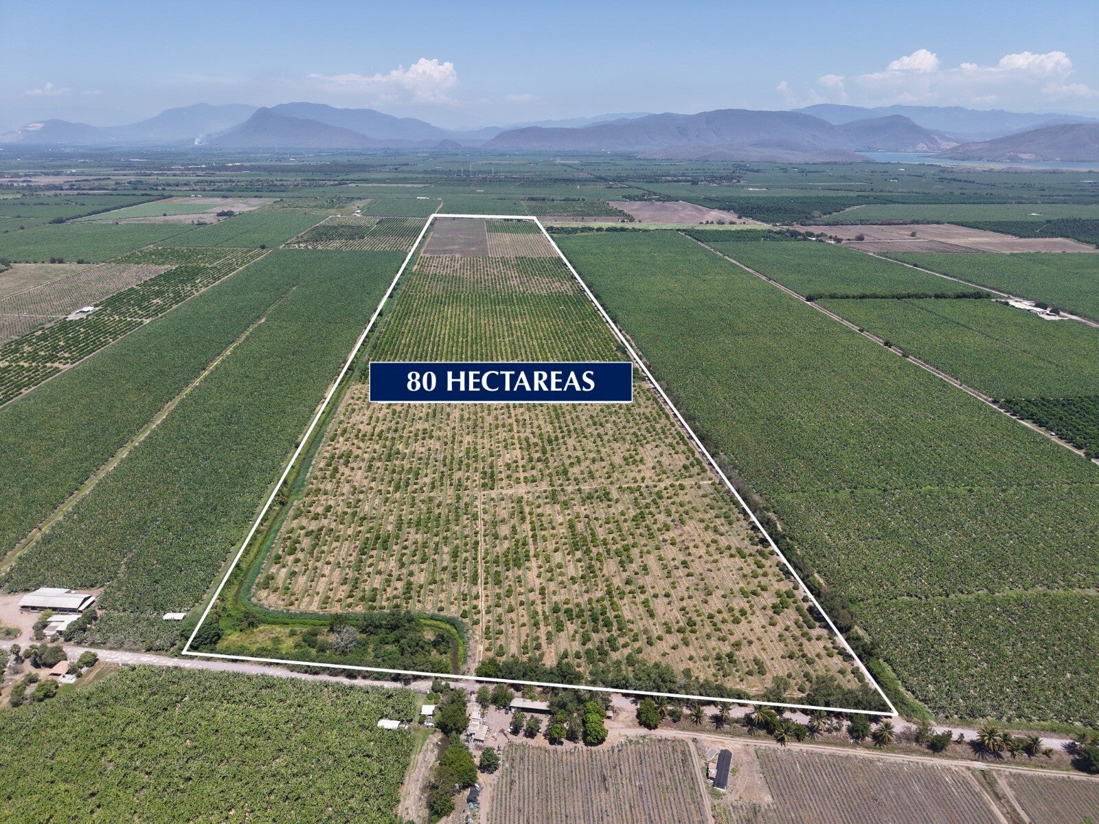 RANCHO TECOMAN