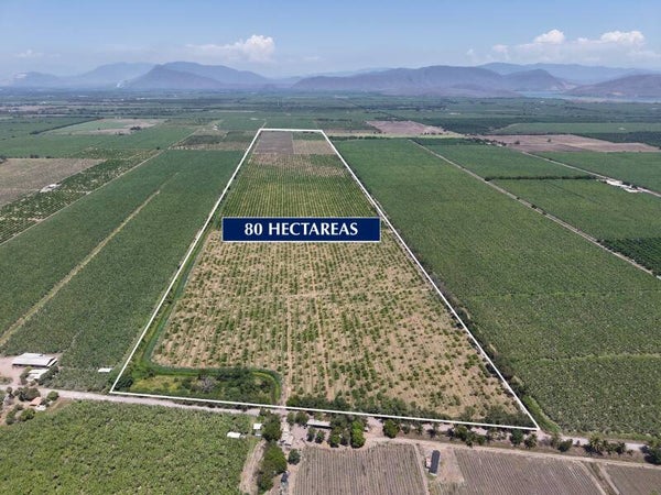 RANCHO TECOMAN