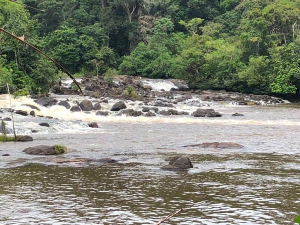 Sintiadam