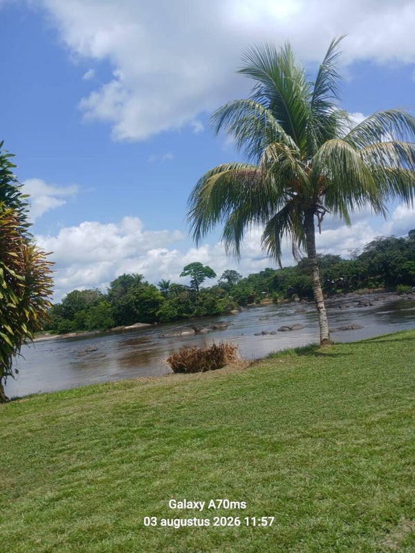 Botopasie
