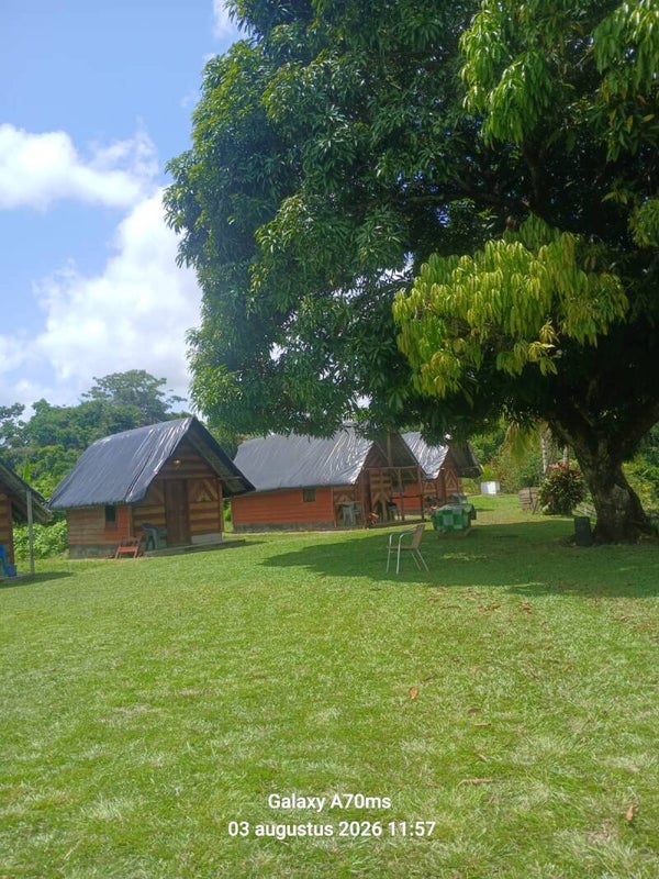 Botopasie