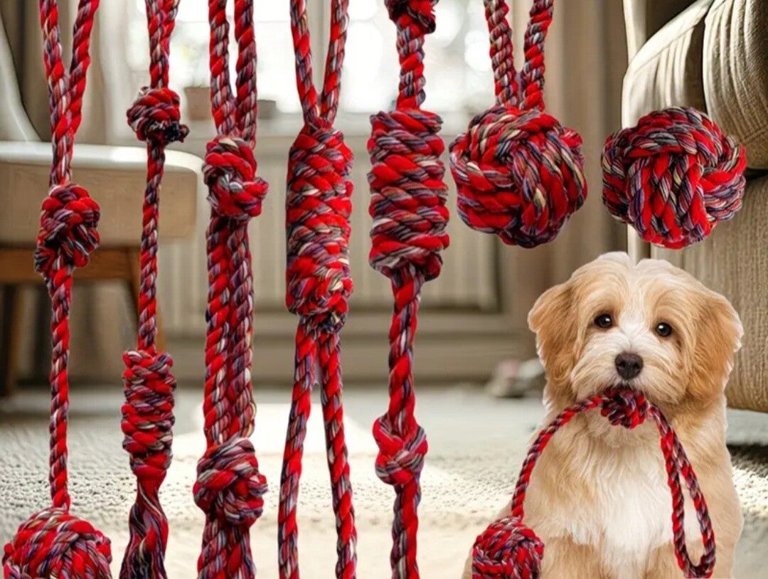 7 Teiliges Hundespielzeug
