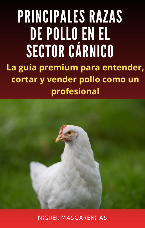 Principales razas de pollo en el sector cárnico