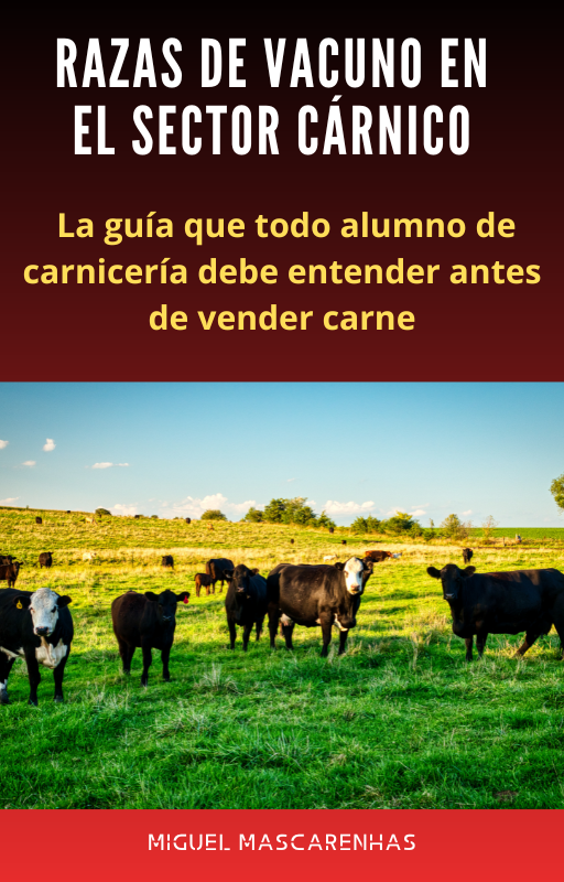 Razas de vacuno en el sector Cárnico
