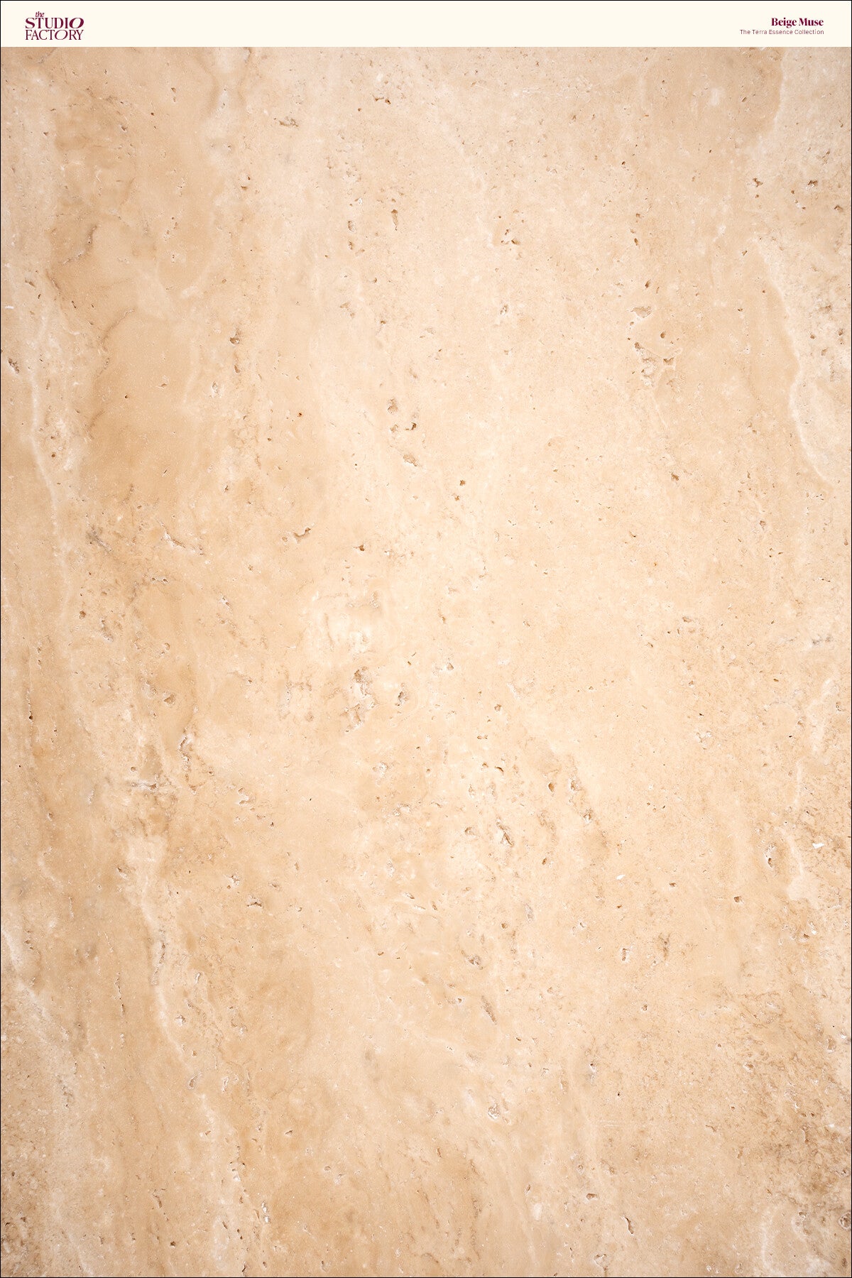Beige Muse | Travertine Backdrop