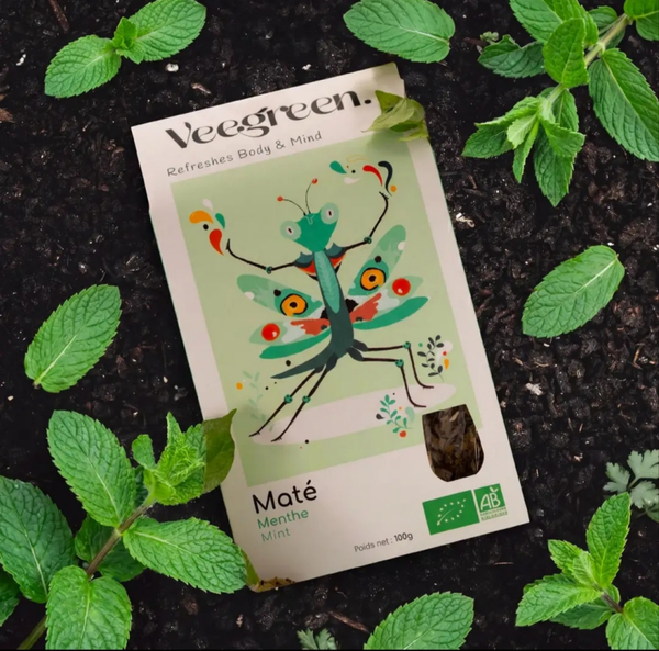 Recharge Maté Fresco Mañana Club x Veegreen