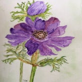 IMG_0173.jpeg