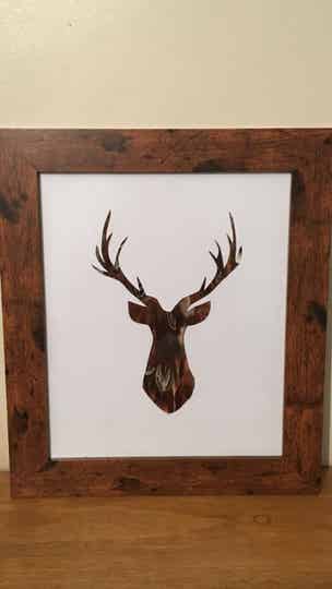 Front stag feather picture