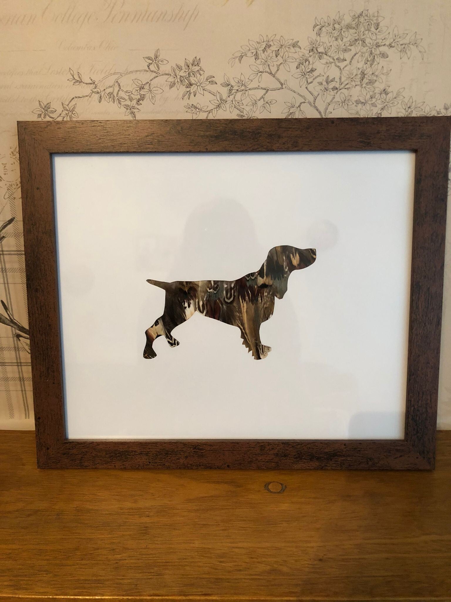 Cocker spaniel feather picture