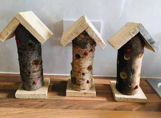 Log Ladybird house