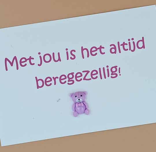 Vrolijkaartje met jou is het altijd beregezellig! / Hopelijk is het daar beregezellig