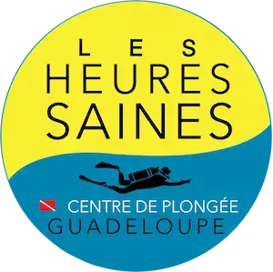 Centre de plongée à Malendure, face à la Réserve Cousteau  Vivez une expérience sous-marine inoubliable avec Les Heures Saines, club de plongée en Guadeloupe situé sur le Rocher de Malendure, à Bouillante. BapPlongée sous marine en Guadeloupe à Bouillante
