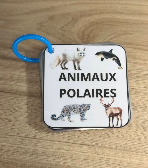 Imagier animaux polaires