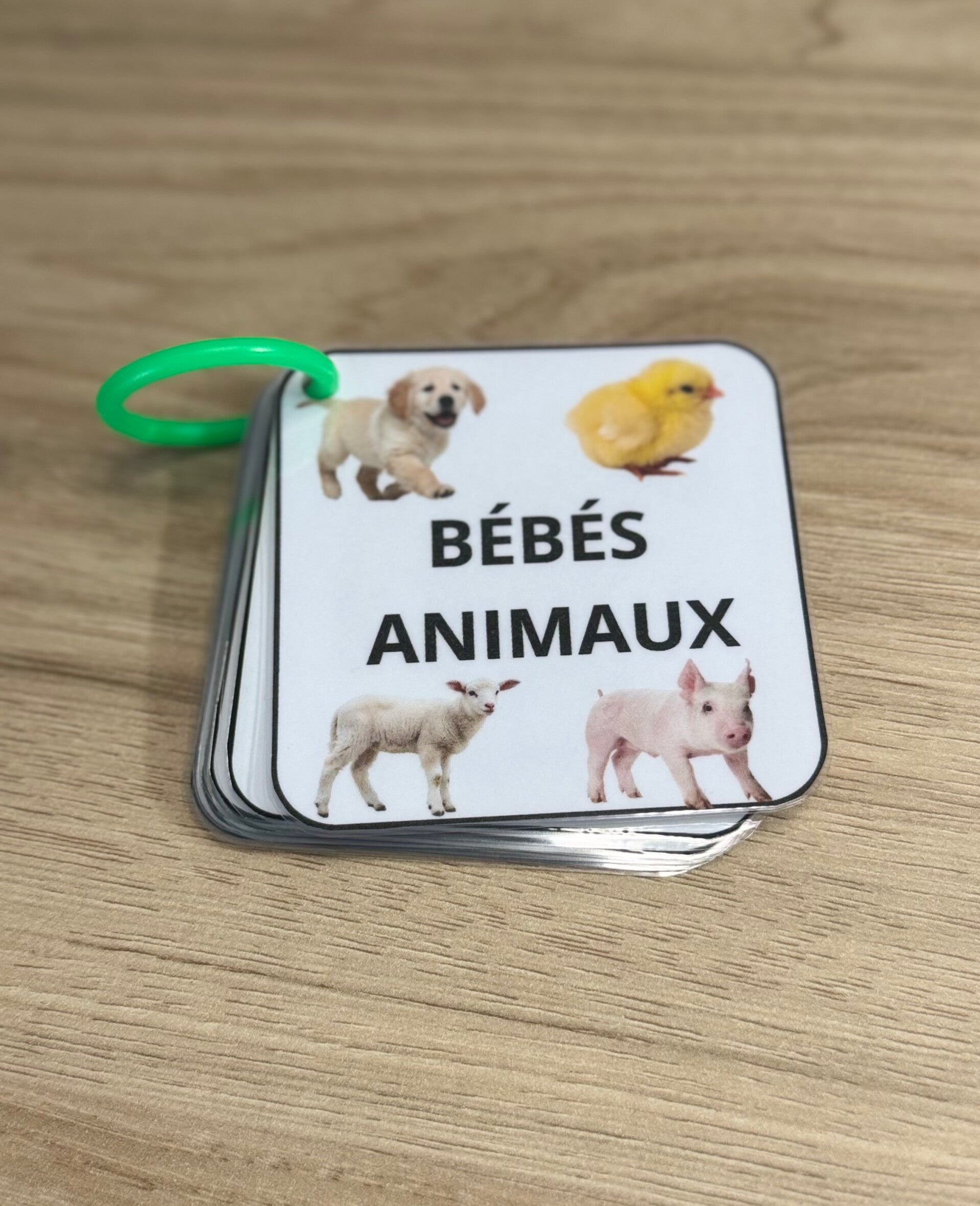 Imagier bébés animaux