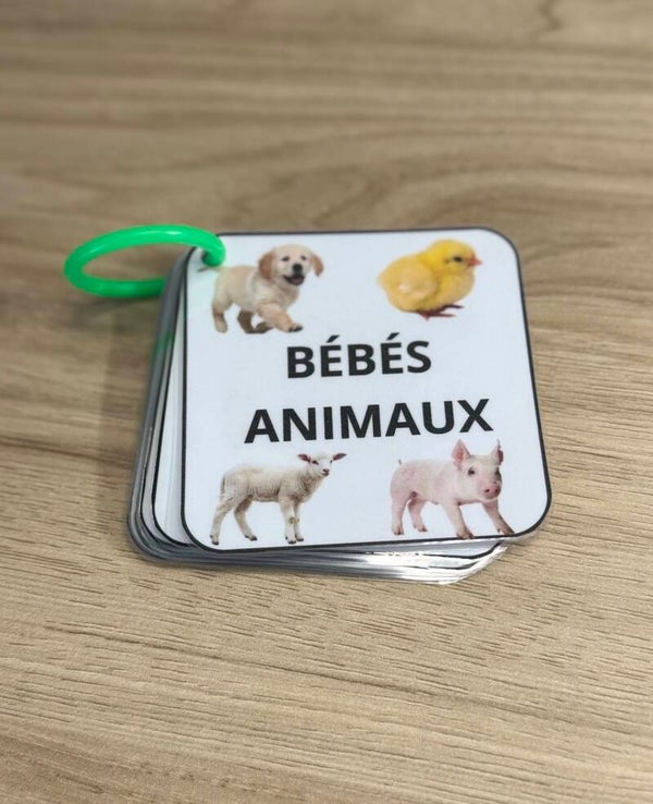 Imagier bébés animaux