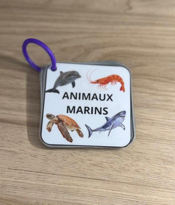 Imagier animaux marins
