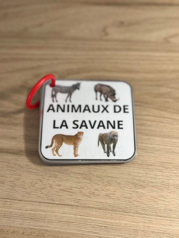 Imagier animaux de la savane