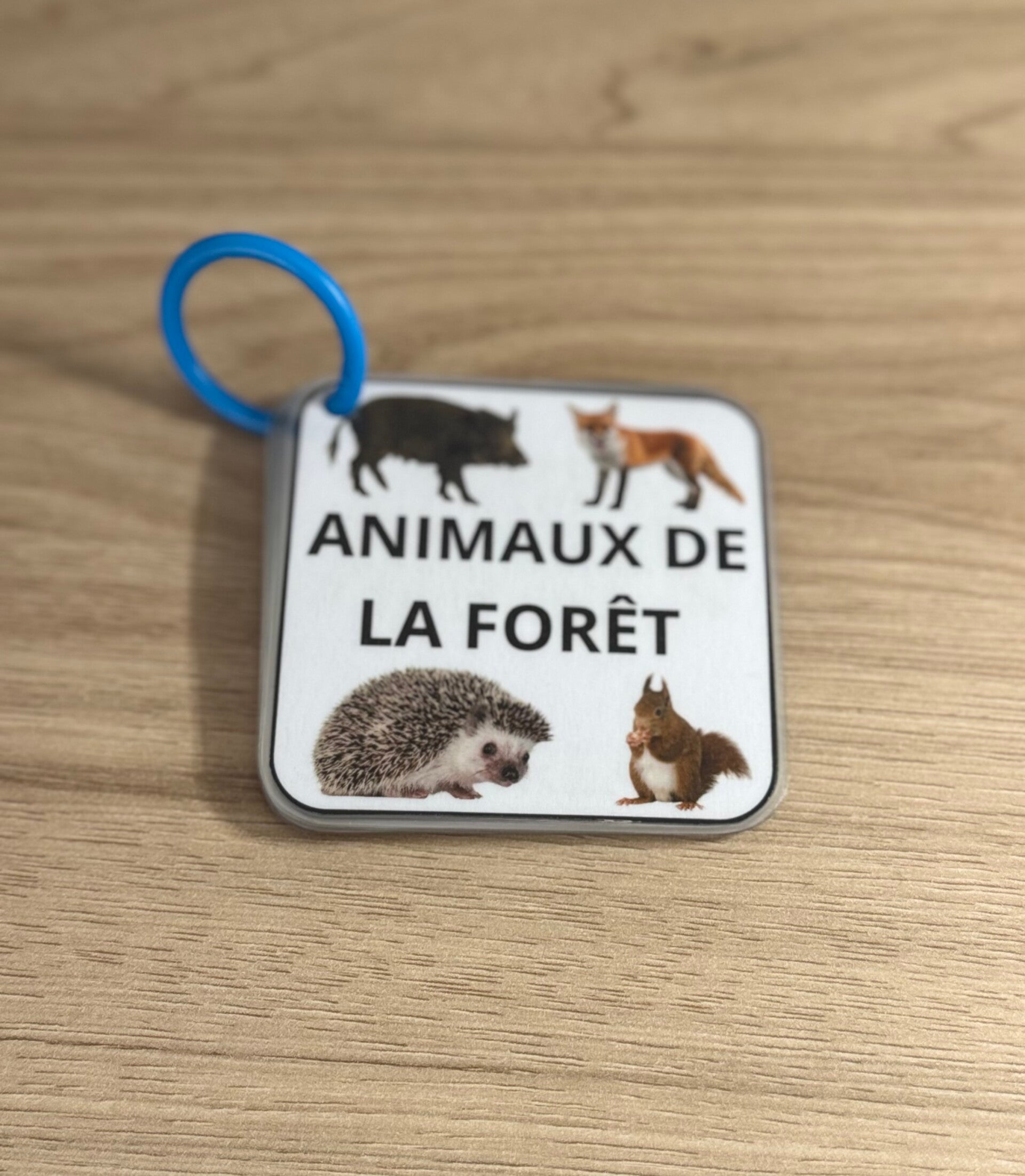 Imagier animaux de la forêt