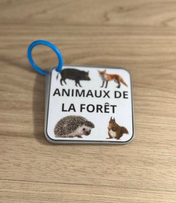Imagier animaux de la forêt