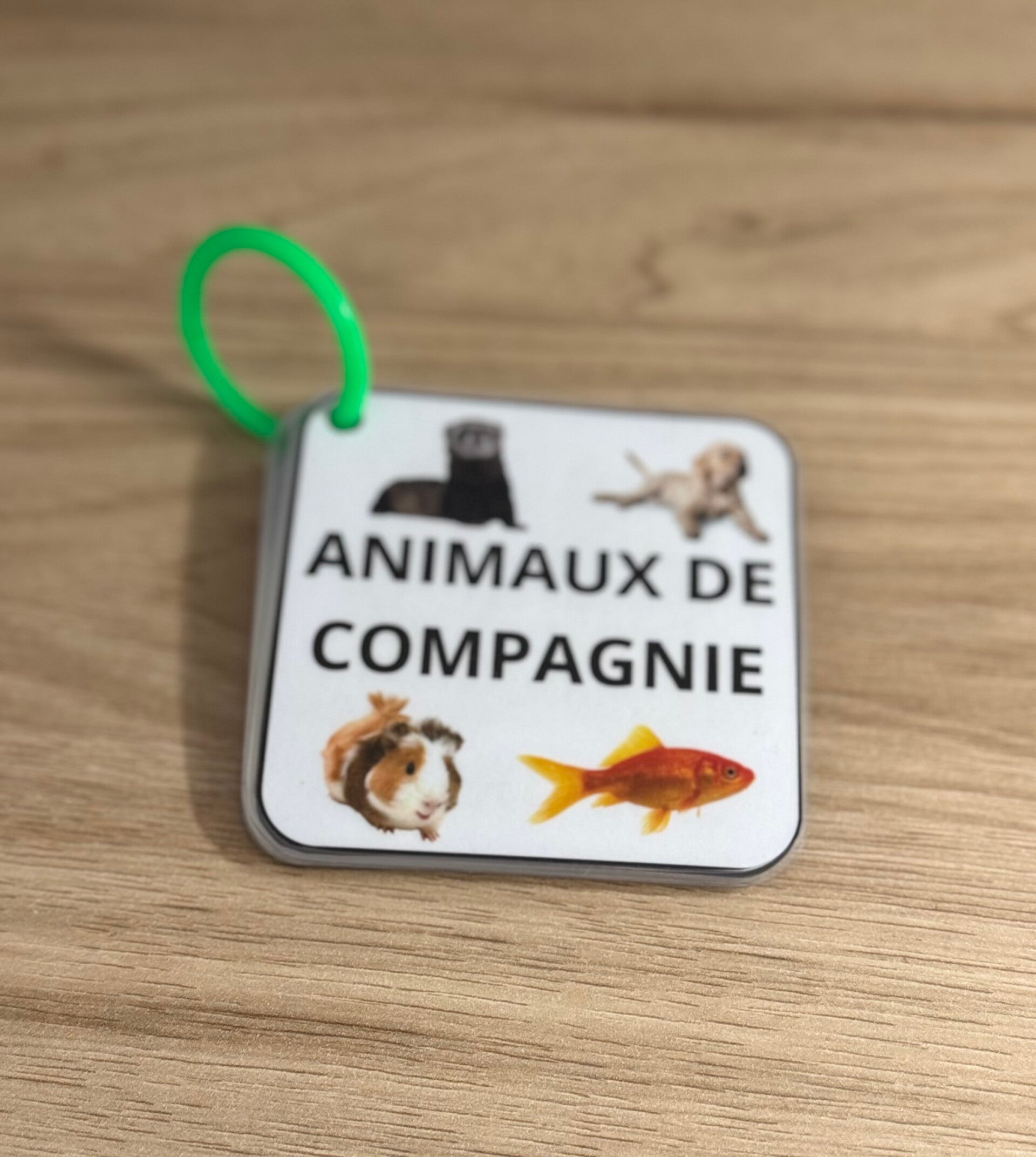 Imagier animaux de compagnie