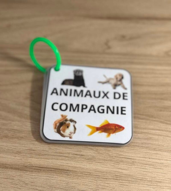 Imagier animaux de compagnie
