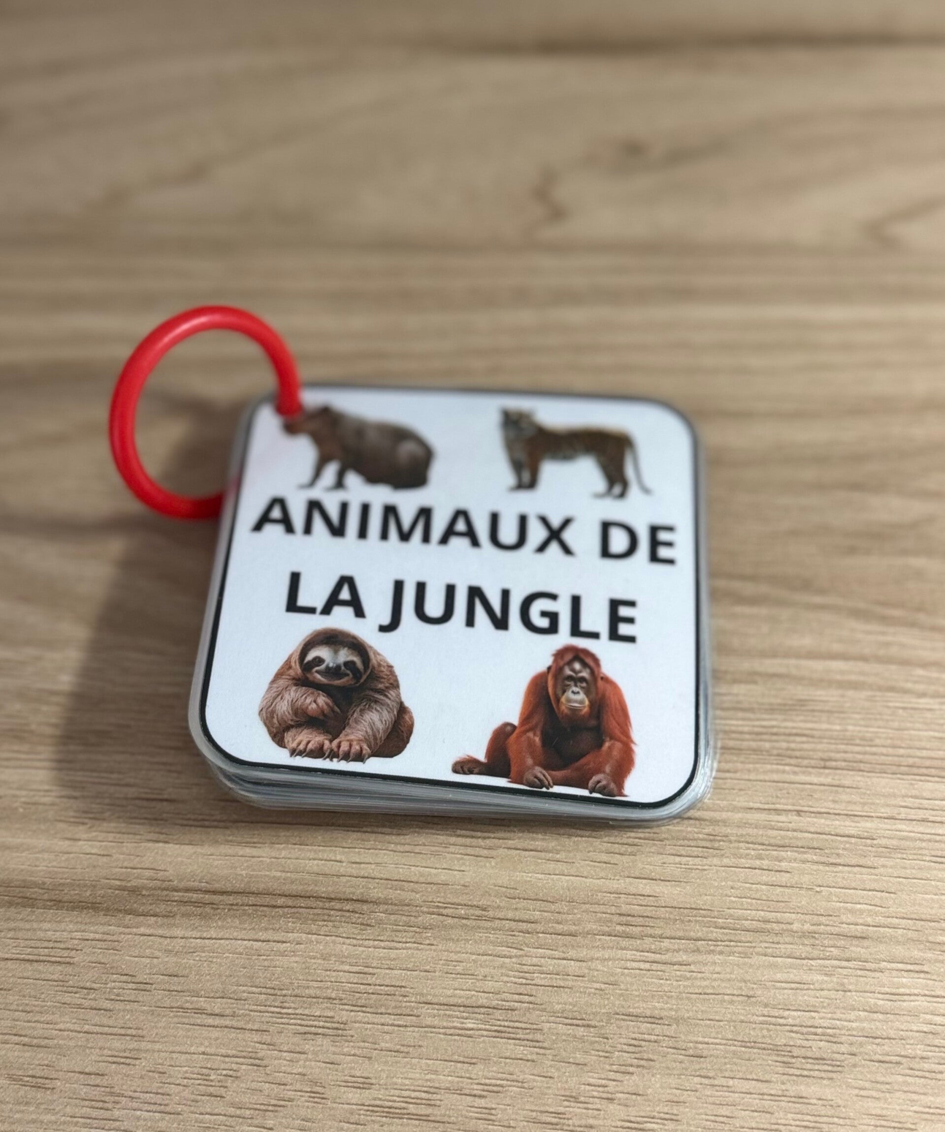 Imagier animaux de la jungle