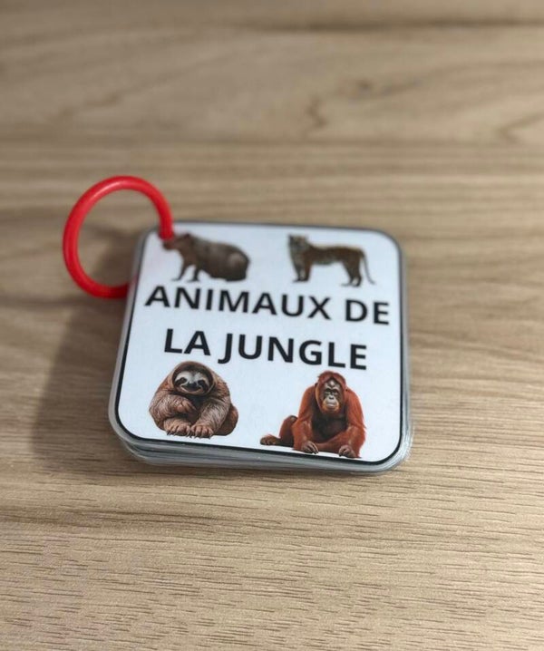 Imagier animaux de la jungle