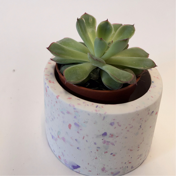 Plantenpotje: Lila, munt en roze pastel