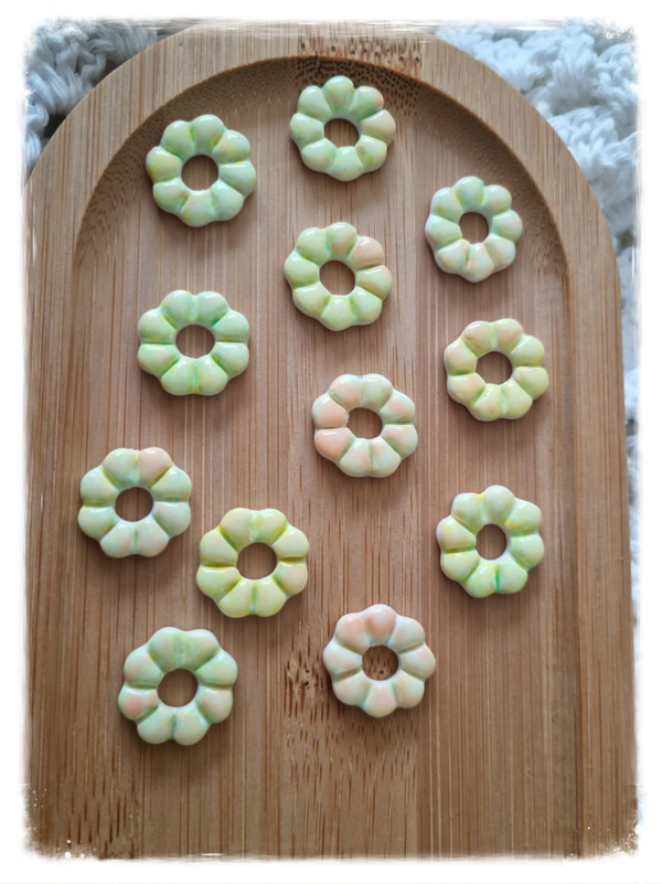 Les petites Zinnia