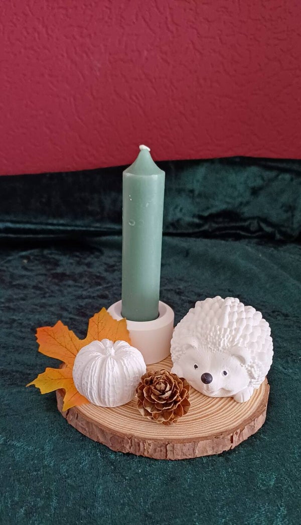 Herbst-Deko auf Holzscheibe