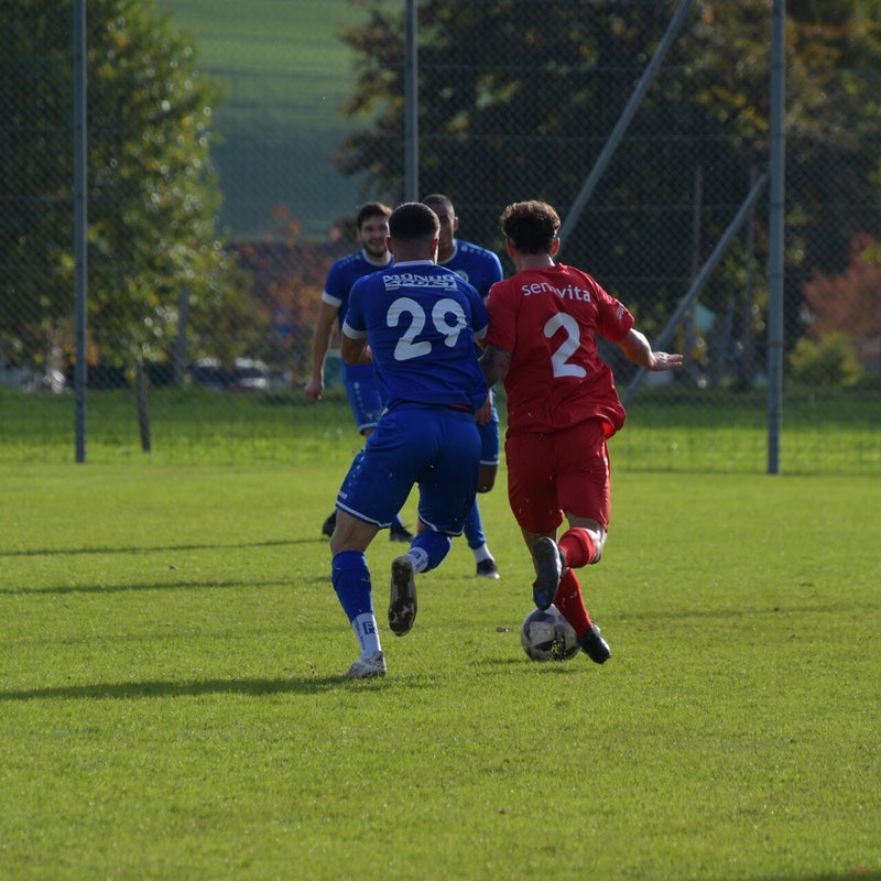 dsc_0420-standard-4zu7l7.jpg