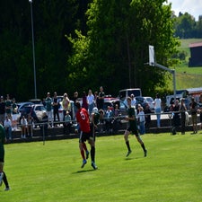 dsc_1211-standard-zjqmgw.jpg