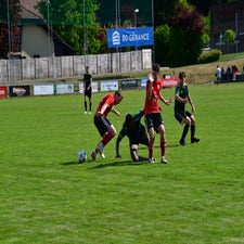 dsc_1497-standard-8u3bna.jpg