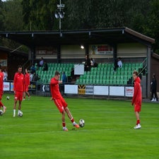 dsc_2017-standard-jbvzuq.jpg
