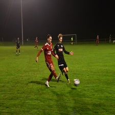 dsc_2151-standard-j5gvyu.jpg