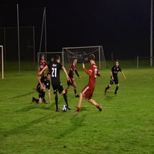 dsc_2203-standard-0ty0ee.jpg