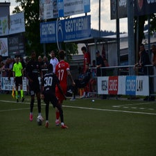 dsc_2339-standard-tbd5yu.jpg