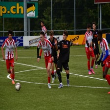 dsc_2343-standard-btt8ou.jpg