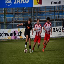 dsc_2382-standard-pubbaf.jpg