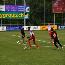 dsc_2410-standard-592107.jpg