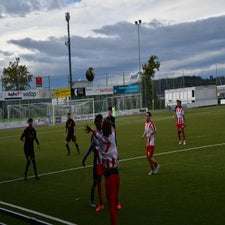 dsc_2457-standard-fqav10.jpg