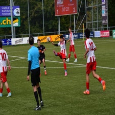 dsc_2498-standard-zpea12.jpg