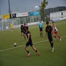 dsc_2658-standard-76sbsg.jpg