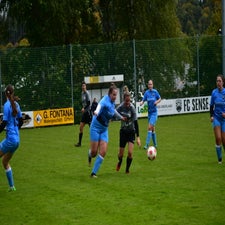 dsc_3478-standard-u3ajrr.jpg