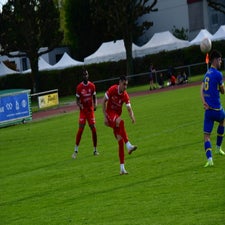 dsc_4231-standard-fa29dw.jpg