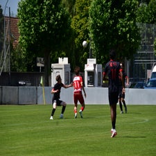dsc_4973-standard-ph2ydd.jpg