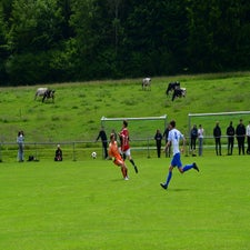dsc_6585-standard-o6es5f.jpg