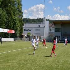 dsc_6643-standard-8hfjks.jpg