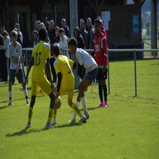 dsc_6867-standard-exdotp.jpg